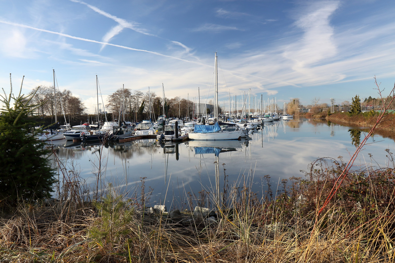 Illustration for article titled Pics from the Curbside: 2018-01-01 at Marpole